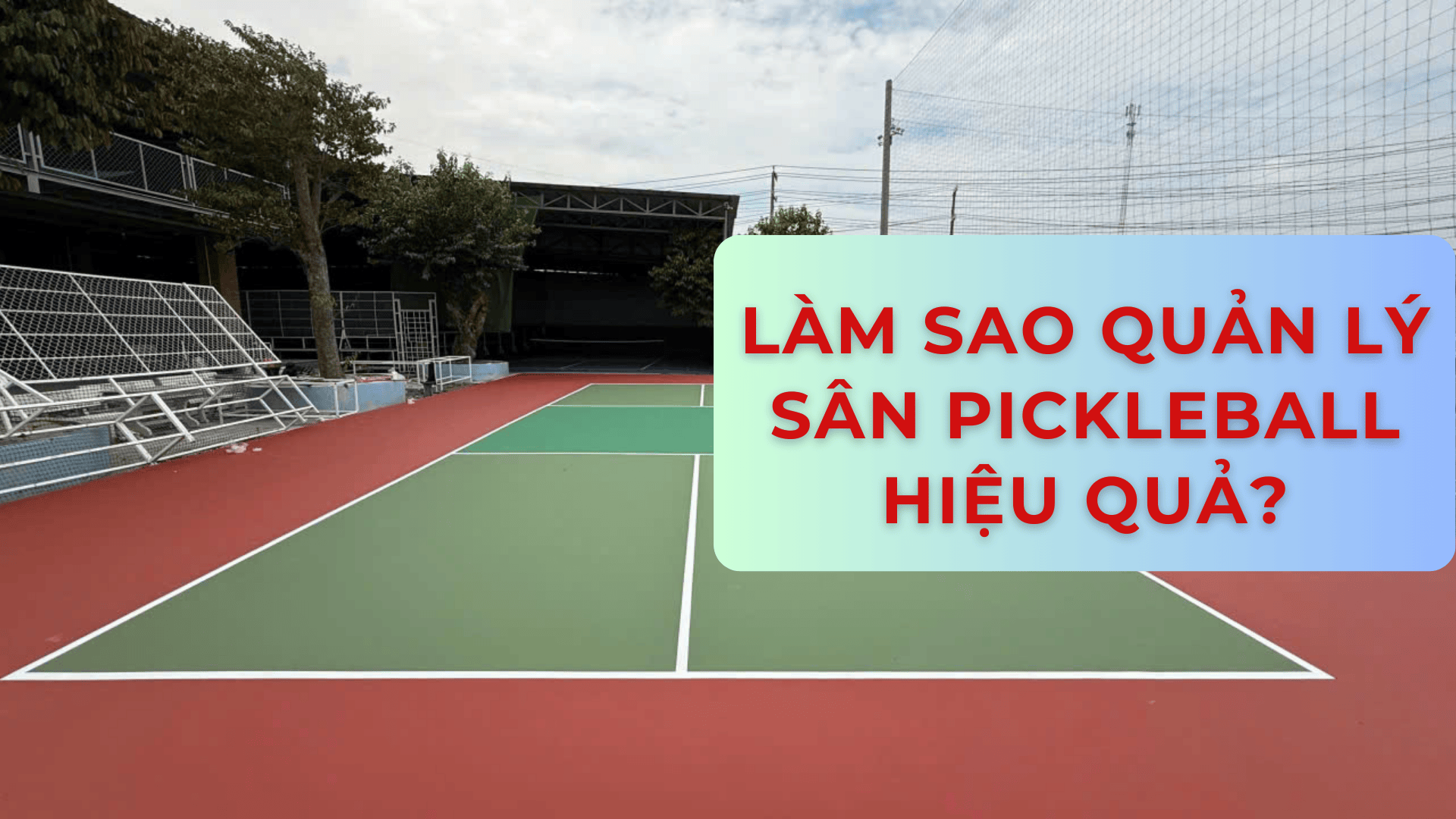hinh san pickleball 3